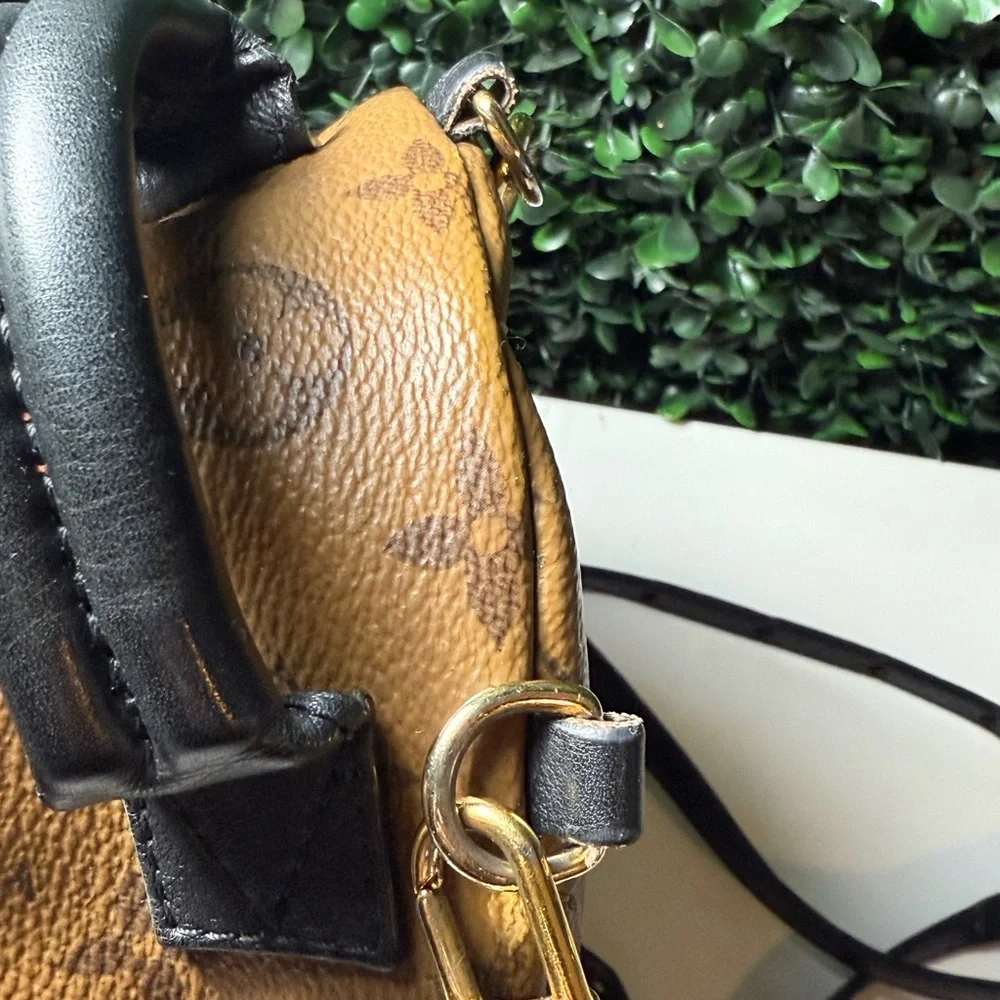 Louis Vuitton LV reverse Monogram Palm Springs Mini - Picture 9 of 16